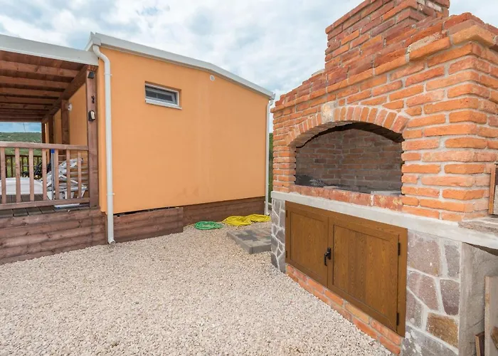 Mobile Sea Lion Pasman