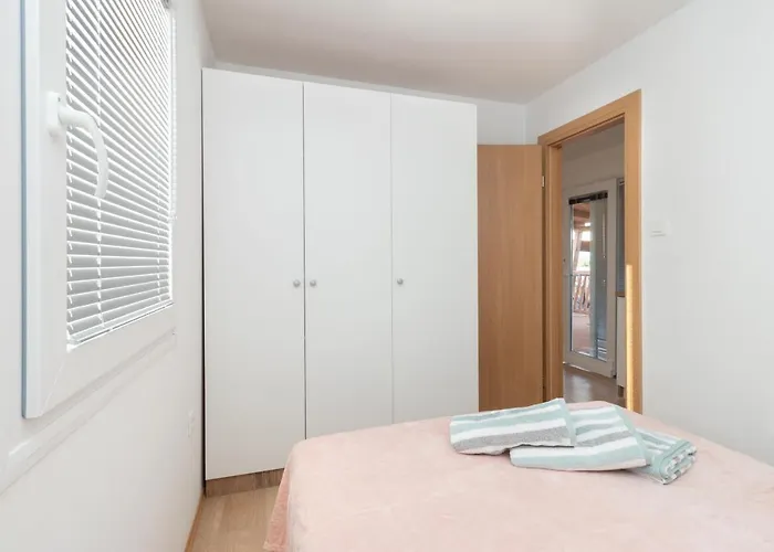 Mobile Sea Lion * Пашман