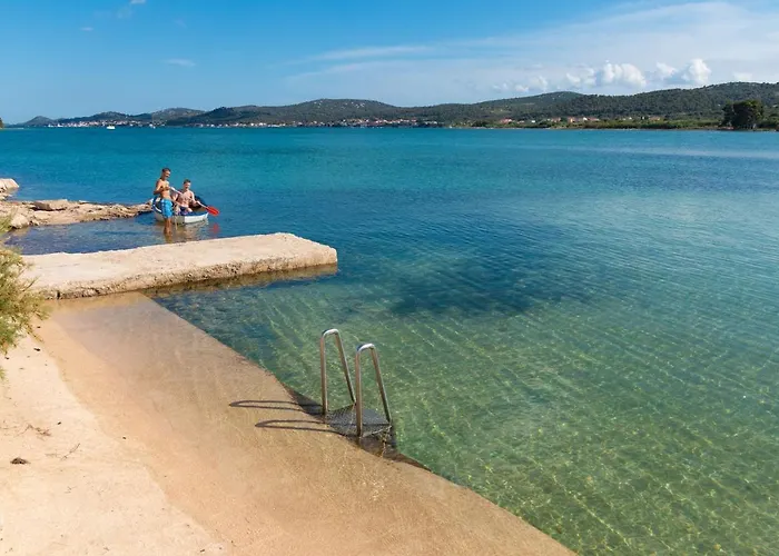 Mobile Sea Lion Pašman